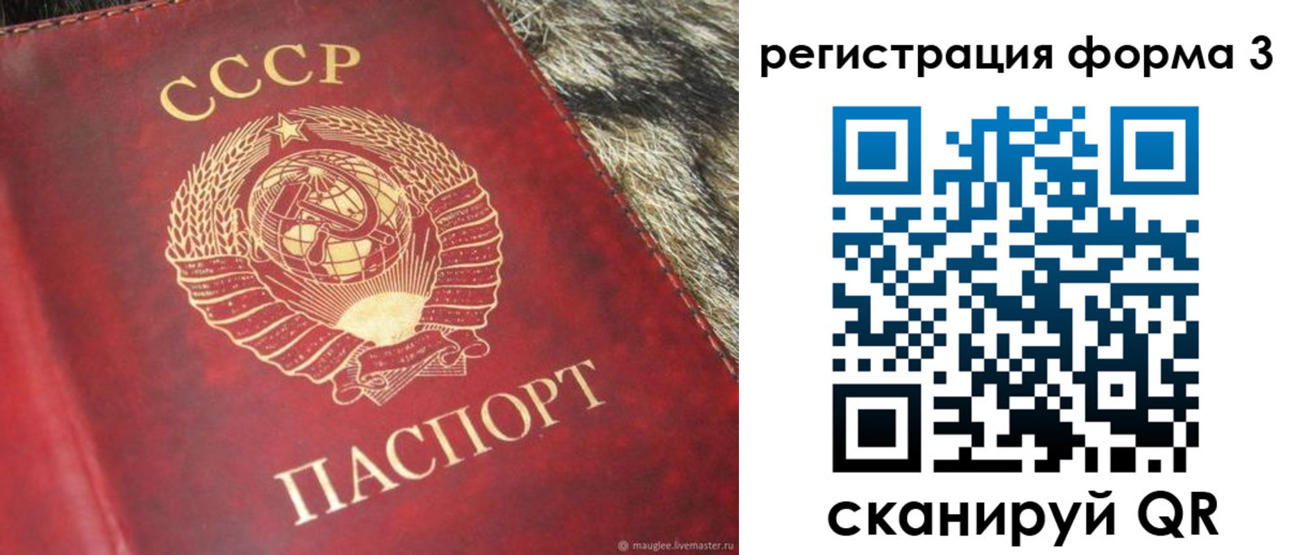 прописка регистрация в Барыше